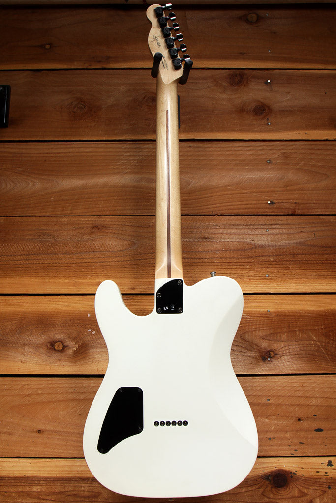 Fender Jim Root Telecaster Clean! MIM + Zebra Striped Case Tele 36430 ...